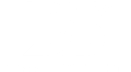 Desai Systems Logo